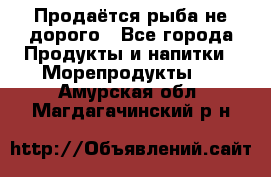 Продаётся рыба не дорого - Все города Продукты и напитки » Морепродукты   . Амурская обл.,Магдагачинский р-н